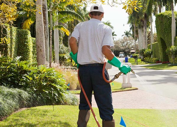 About Riverview FL Pest Control